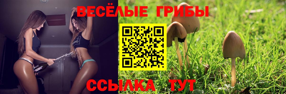 Галлюциногенные грибы прущие грибы Тихорецк